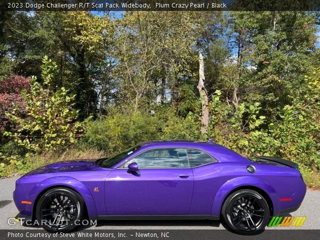 2023 Dodge Challenger R/T Scat Pack Widebody in Plum Crazy Pearl