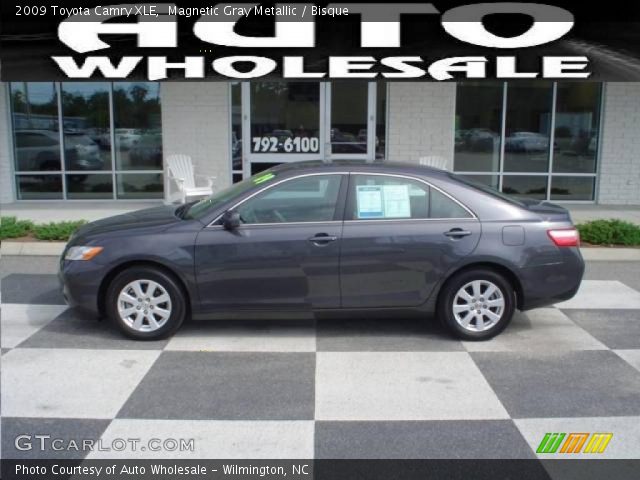 2009 Toyota Camry XLE in Magnetic Gray Metallic