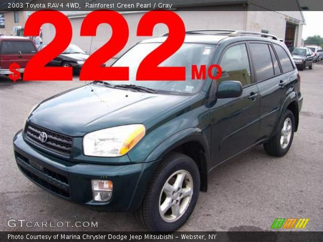2003 Toyota RAV4 4WD in Rainforest Green Pearl