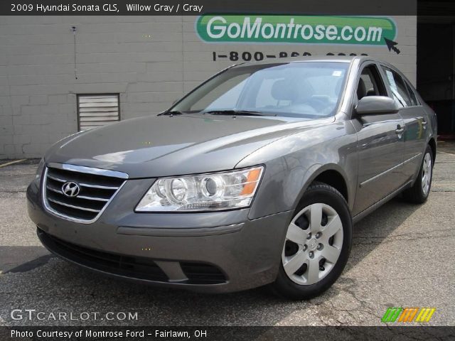 2009 Hyundai Sonata GLS in Willow Gray
