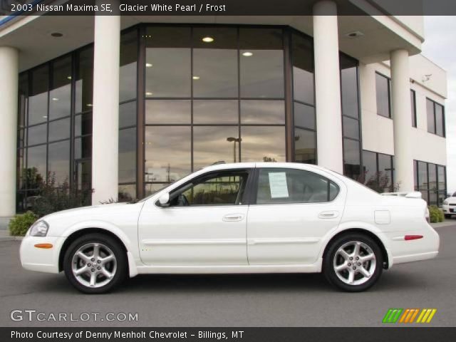 2003 Nissan Maxima SE in Glacier White Pearl