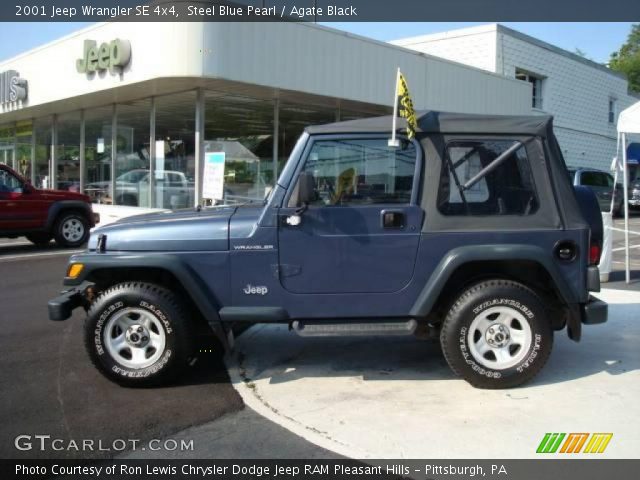 2001 Jeep Wrangler SE 4x4 in Steel Blue Pearl