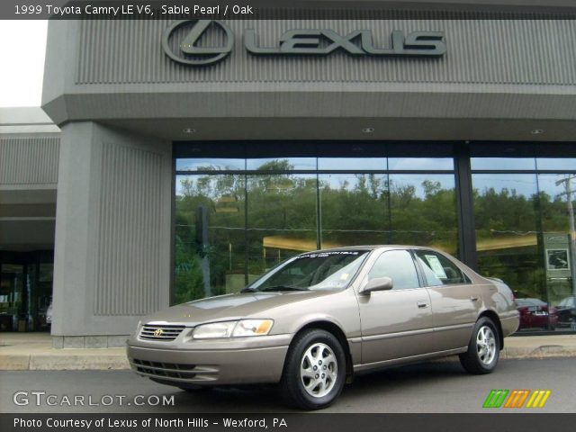 1999 Toyota Camry LE V6 in Sable Pearl