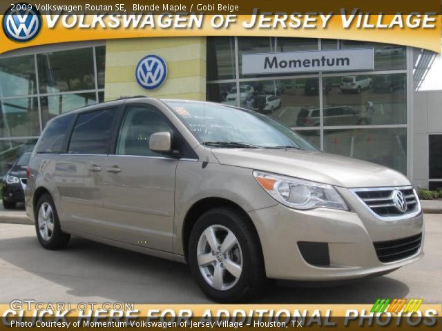 2009 Volkswagen Routan SE in Blonde Maple