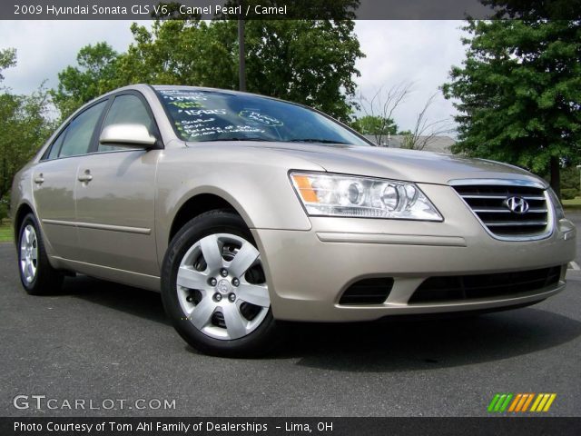2009 Hyundai Sonata GLS V6 in Camel Pearl
