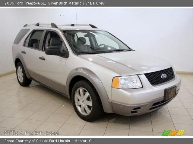 2006 Ford Freestyle SE in Silver Birch Metallic