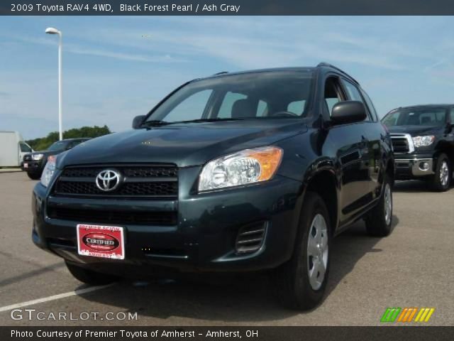 2009 Toyota RAV4 4WD in Black Forest Pearl