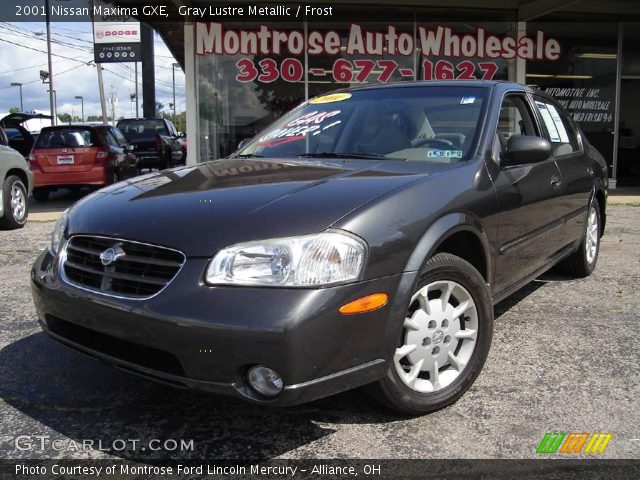 2001 Nissan Maxima GXE in Gray Lustre Metallic