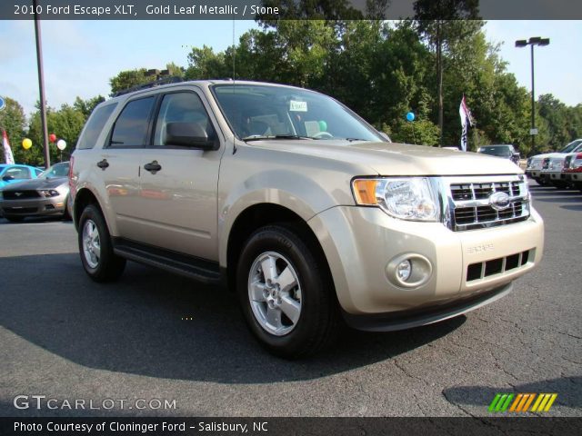 2010 Ford Escape XLT in Gold Leaf Metallic