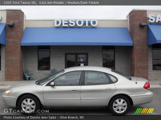 2005 Ford Taurus SEL in Gold Ash Metallic
