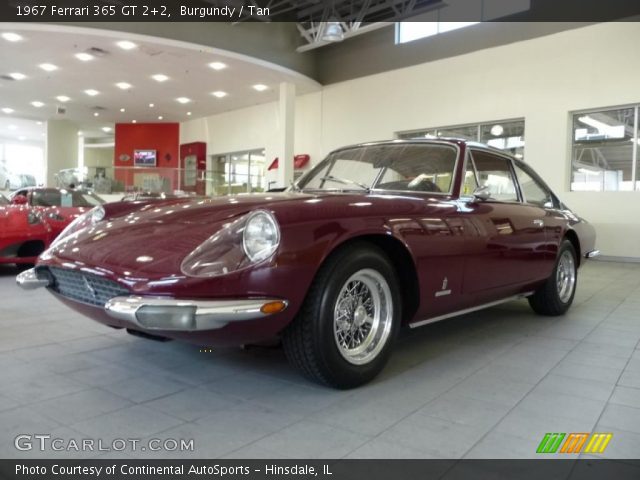 1967 Ferrari 365 GT 2+2  in Burgundy