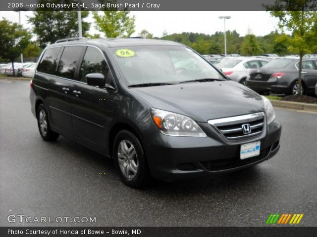 2006 Honda Odyssey EX-L in Sage Brush Pearl