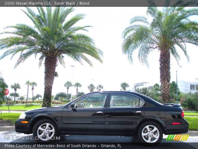 2000 Nissan Maxima GLE in Super Black