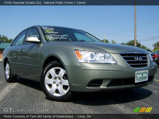 2009 Hyundai Sonata GLS in Natural Khaki Green