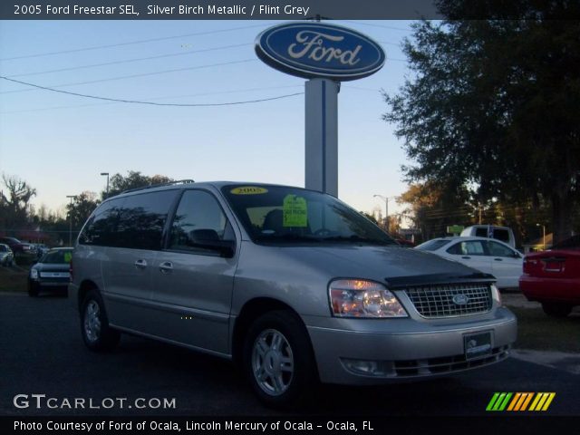 2005 Ford Freestar SEL in Silver Birch Metallic