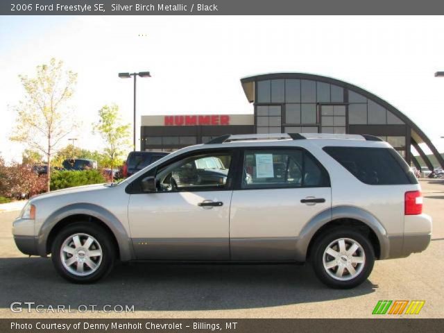 2006 Ford Freestyle SE in Silver Birch Metallic