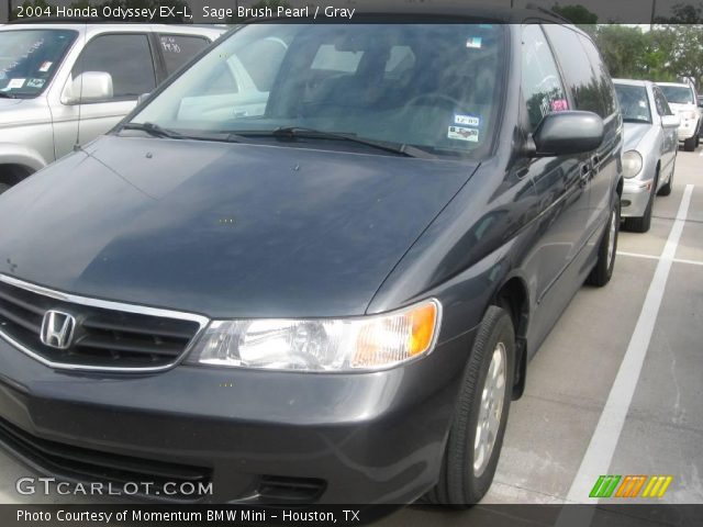 2004 Honda Odyssey EX-L in Sage Brush Pearl