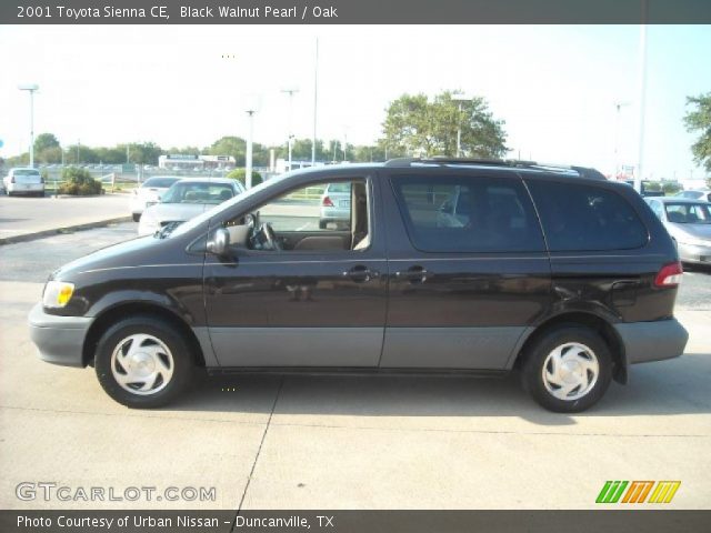 2001 Toyota Sienna CE in Black Walnut Pearl