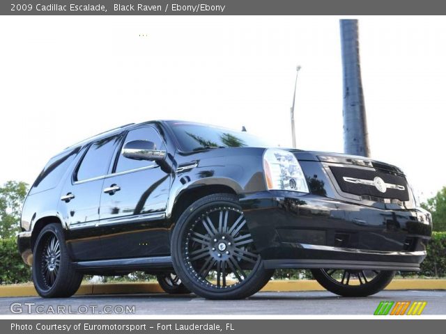 2009 Cadillac Escalade  in Black Raven