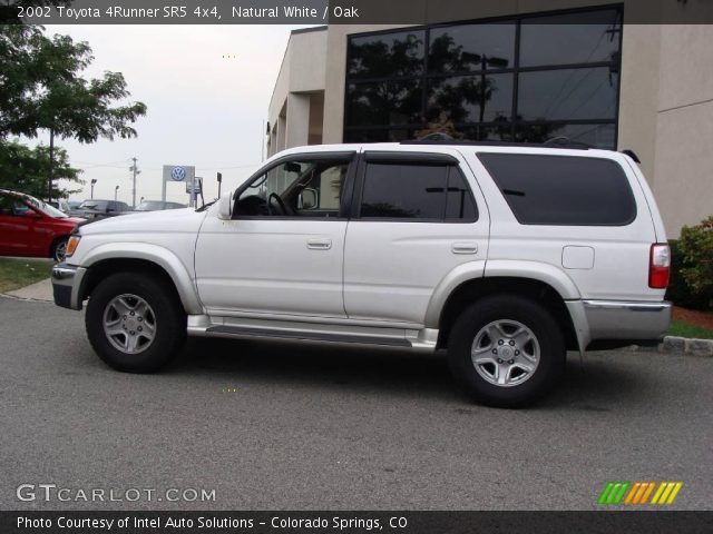 2002 Toyota 4Runner SR5 4x4 in Natural White