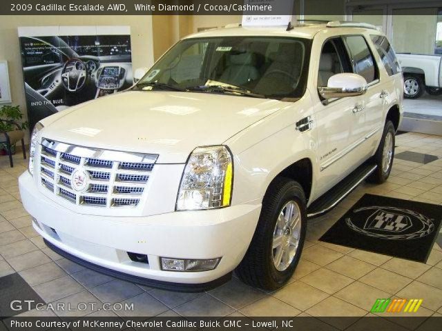 2009 Cadillac Escalade AWD in White Diamond