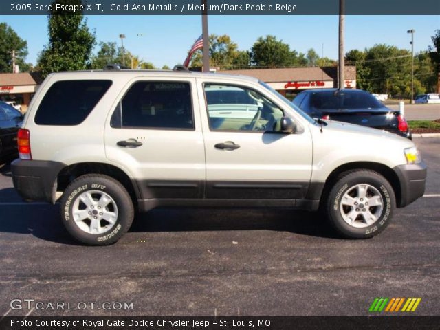 2005 Ford Escape XLT in Gold Ash Metallic