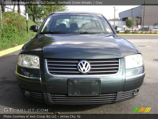 2004 Volkswagen Passat GLS Sedan in Northern Green Metallic