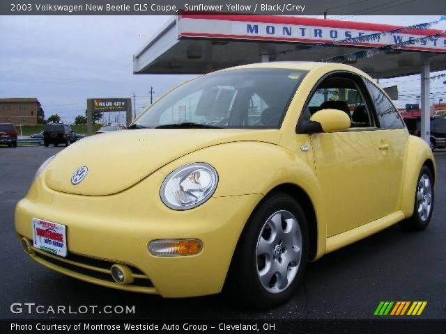 2003 Volkswagen New Beetle GLS Coupe in Sunflower Yellow