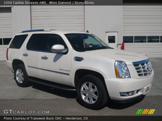 2009 Cadillac Escalade AWD in White Diamond