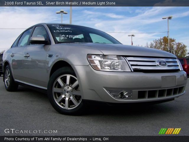 2008 Ford Taurus SEL in Silver Birch Metallic