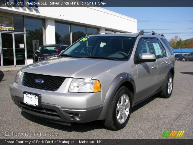 2006 Ford Freestyle SEL in Silver Birch Metallic