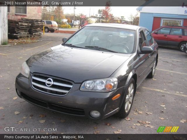 2003 Nissan Maxima GLE in Gray Lustre