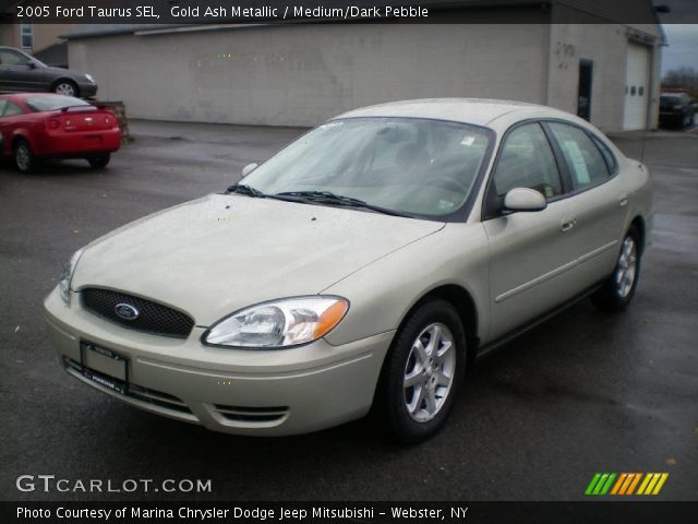 2005 Ford Taurus SEL in Gold Ash Metallic