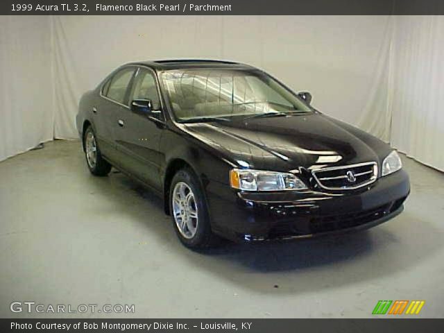 1999 Acura TL 3.2 in Flamenco Black Pearl