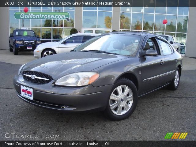 2003 Ford Taurus SEL in Dark Shadow Grey Metallic