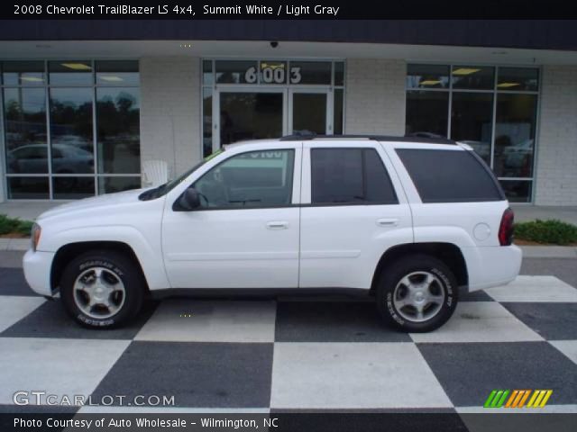 2008 Chevrolet TrailBlazer LS 4x4 in Summit White