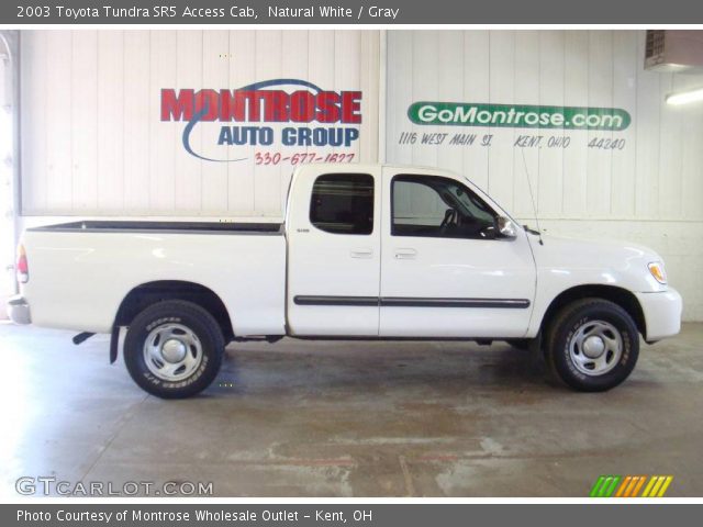 2003 Toyota Tundra SR5 Access Cab in Natural White