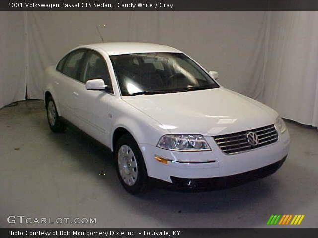 2001 Volkswagen Passat GLS Sedan in Candy White
