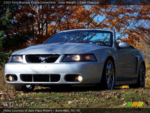 2003 Ford Mustang Cobra Convertible in Silver Metallic