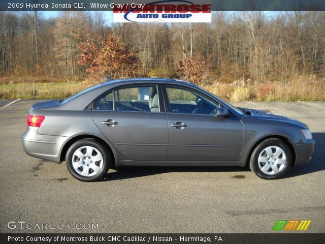 2009 Hyundai Sonata GLS in Willow Gray