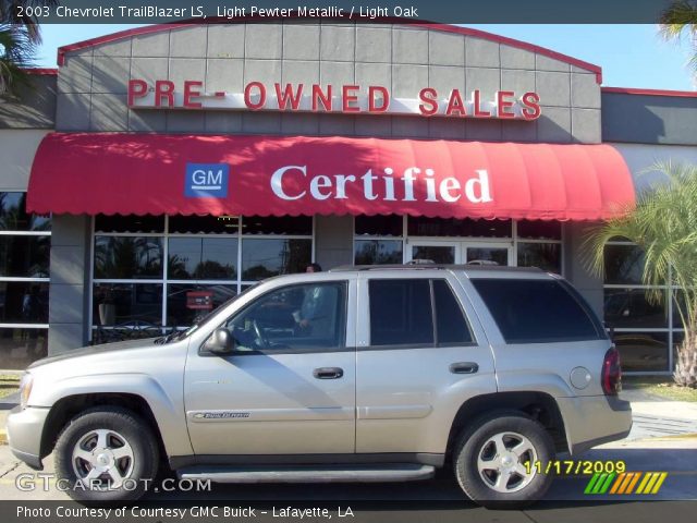 2003 Chevrolet TrailBlazer LS in Light Pewter Metallic