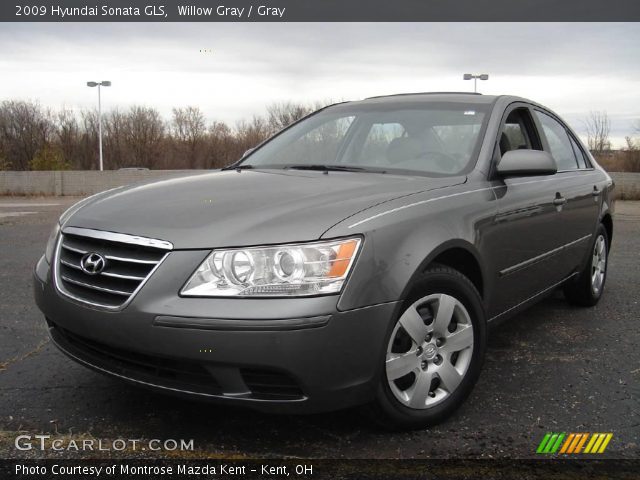 2009 Hyundai Sonata GLS in Willow Gray