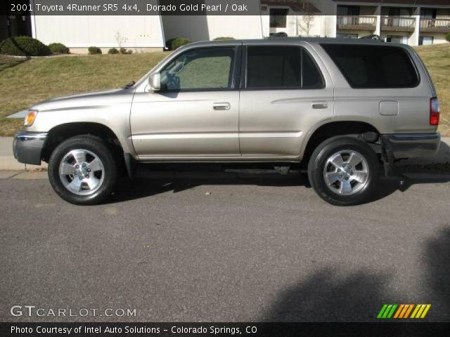 2001 Toyota 4Runner SR5 4x4 in Dorado Gold Pearl