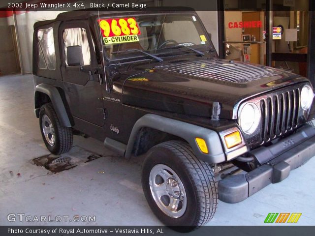 2002 Jeep Wrangler X 4x4 in Black