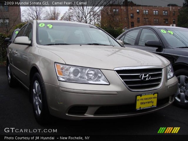 2009 Hyundai Sonata GLS in Camel Pearl
