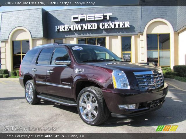 2009 Cadillac Escalade  in Black Cherry