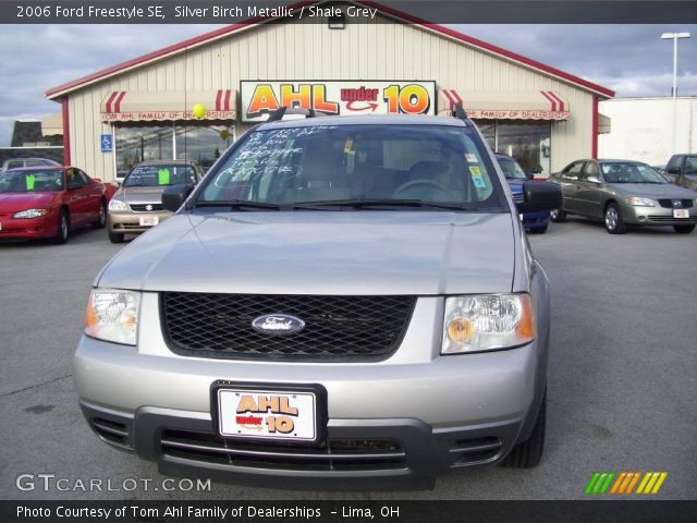 2006 Ford Freestyle SE in Silver Birch Metallic