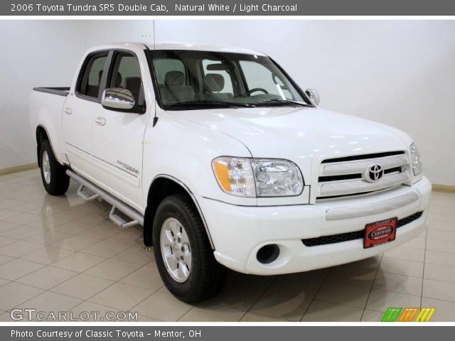 2006 Toyota Tundra SR5 Double Cab in Natural White