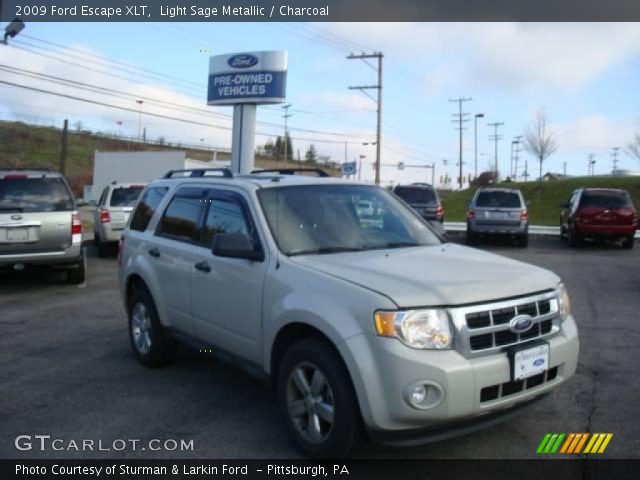 2009 Ford Escape XLT in Light Sage Metallic