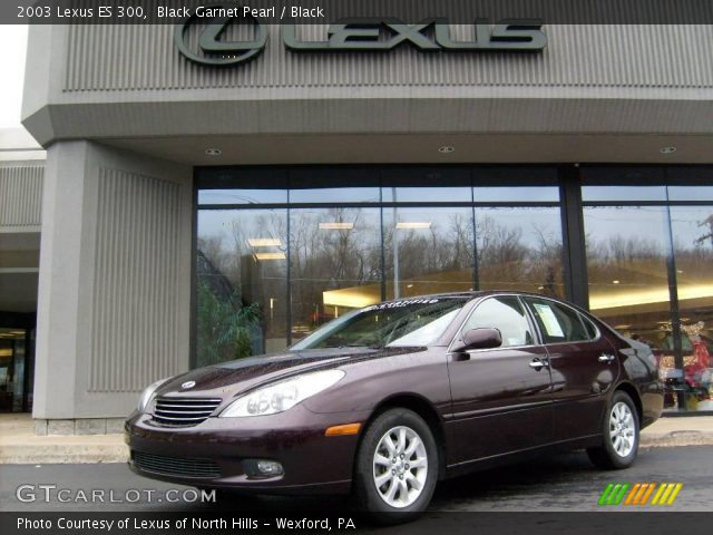 2003 Lexus ES 300 in Black Garnet Pearl